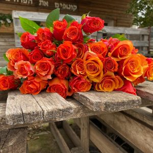 חבילת ורדים כתומים גובה 50 ס"מ