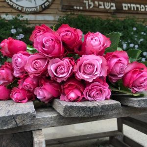 חבילת ורדים ורוד סגלגל 50 ס"מ