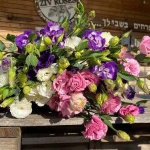 חבילת ליזיאנטוס מיקס