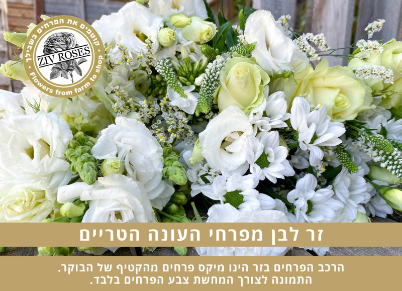 בוקט לבן בחירת המעצב (תמונה להמחשה)