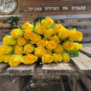 חבילת ורדים צהוב לימון גובה 50 ס"מ