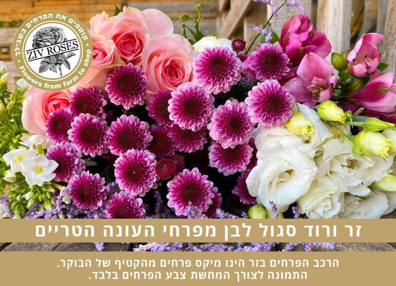 בוקט ורוד סגול לבן בחירת המעצב (תמונה להמחשה)