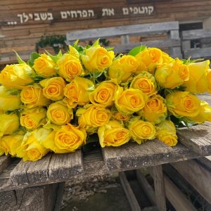 חבילת ורדים צהוב לימון גובה 45 ס"מ