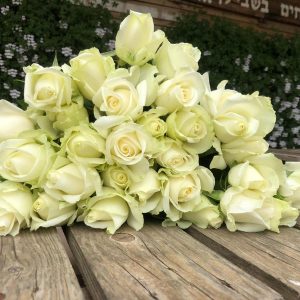 חבילת ורדים לבן 50 ס"מ